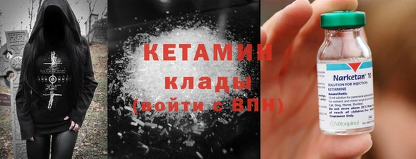 прущие грибы Заволжье