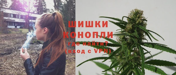 прущие грибы Заволжье