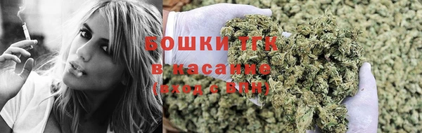 прущий лед Тында