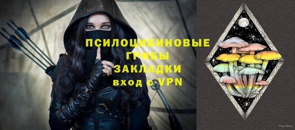 прущие крисы Заводоуковск