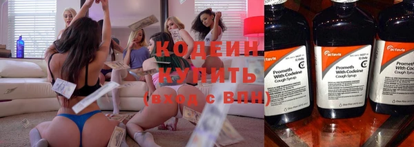 прущие грибы Заволжье